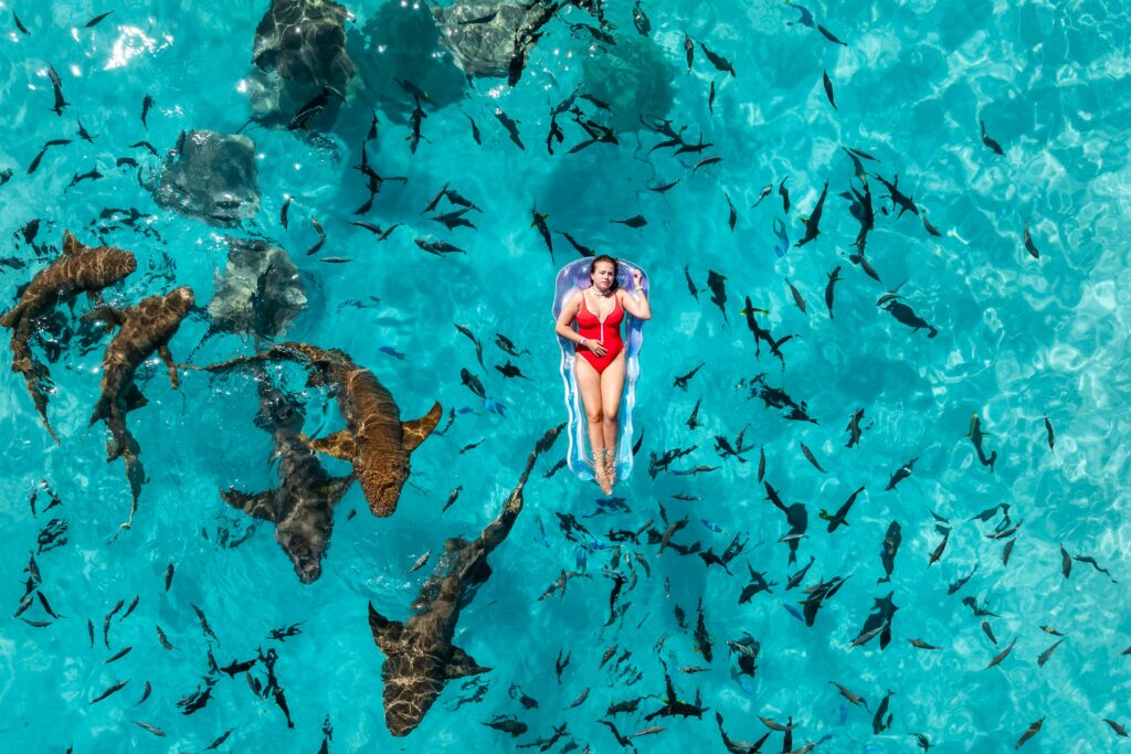 A woman floats on a raft surrounded by sharks in the clear Maldives waters.